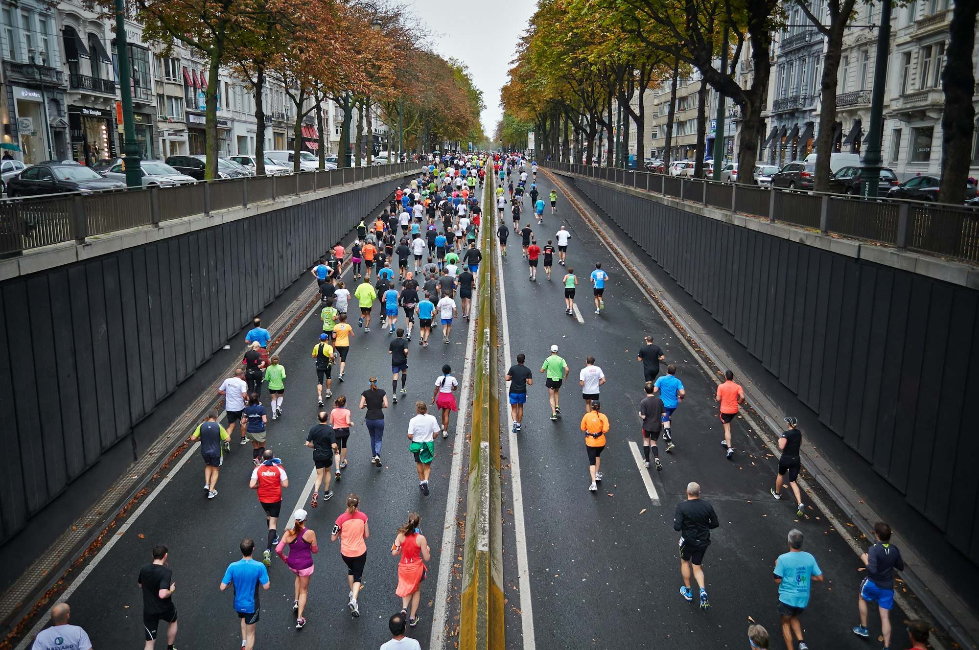 Läuferfeld eines Stadtmarathons auf einer langen, baumgesäumten Allee