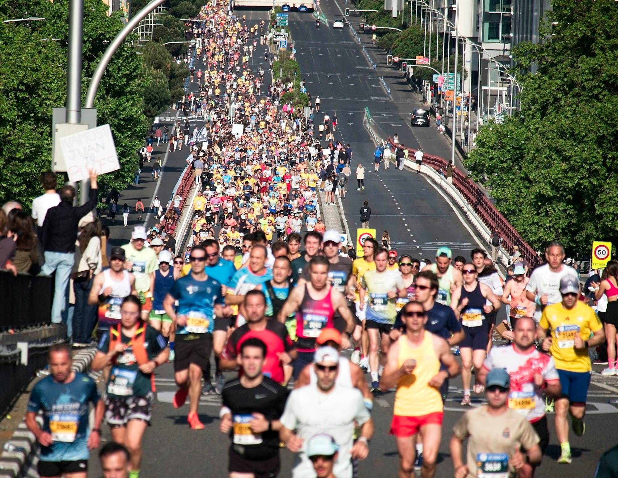 Hunderte Läuferinnen und Läufer auf einer breiten Straße bei einem Stadtmarathon